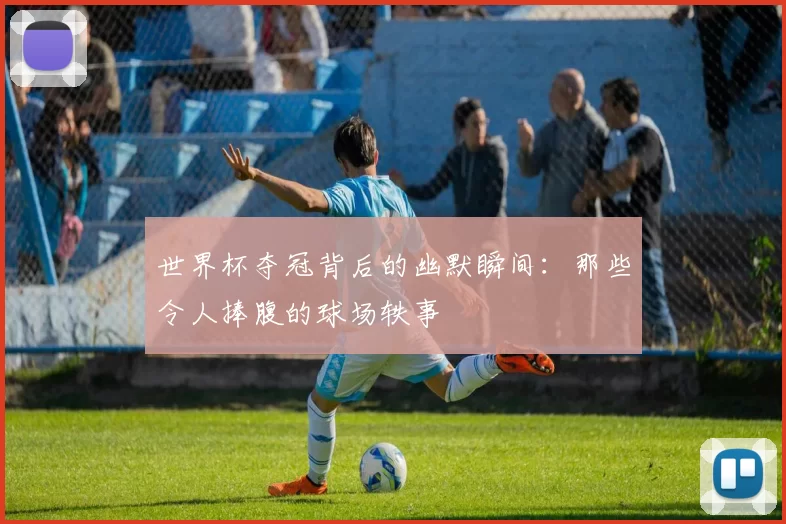 世界杯夺冠背后的幽默瞬间：那些令人捧腹的球场轶事