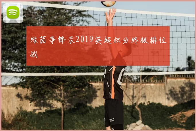 绿茵争锋录2019英超积分终极排位战