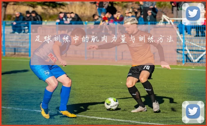 足球训练中的肌肉力量与训练方法