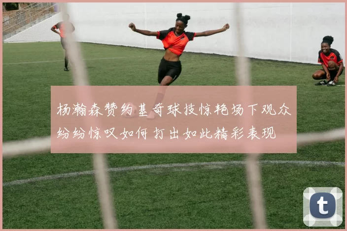 杨瀚森赞约基奇球技惊艳场下观众纷纷惊叹如何打出如此精彩表现