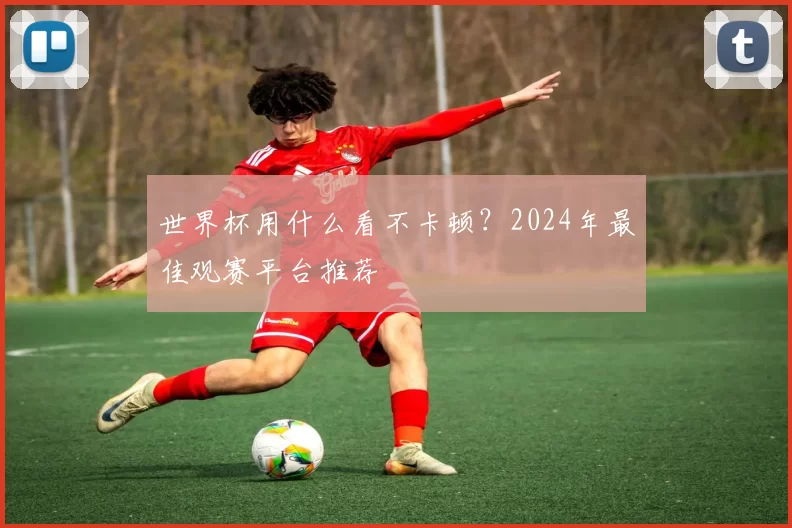 世界杯用什么看不卡顿?2024年最佳观赛平台推荐