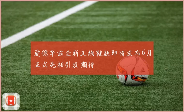 爱德华兹全新支线鞋款即将发布6月正式亮相引发期待