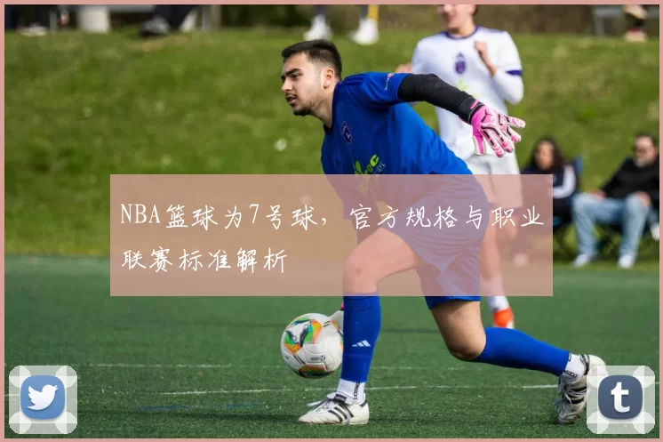 NBA篮球为7号球,官方规格与职业联赛标准解析