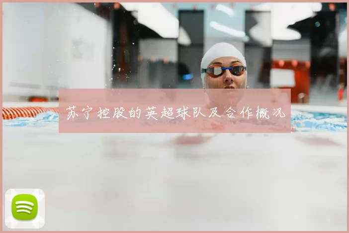 苏宁控股的英超球队及合作概况