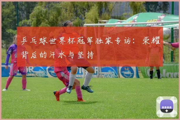 乒乓球世界杯冠军独家专访：荣耀背后的汗水与坚持