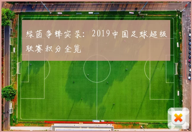 绿茵争锋实录:2019中国足球超级联赛积分全览