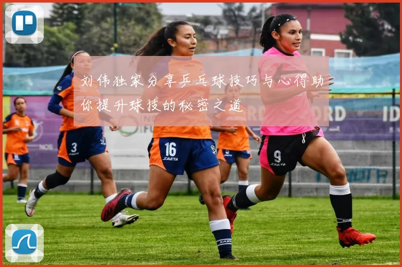 刘伟独家分享乒乓球技巧与心得助你提升球技的秘密之道