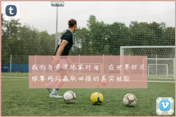 我们与资深玩家对话:在世界杯买球赛网站赢取回报的真实经验