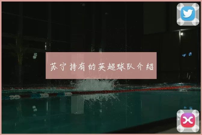 苏宁持有的英超球队介绍