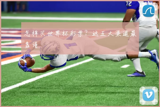 怎样买世界杯彩票?这五大渠道最靠谱