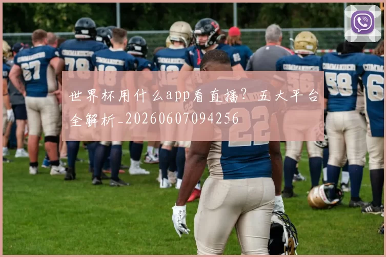 世界杯用什么app看直播?五大平台全解析_20260607094256