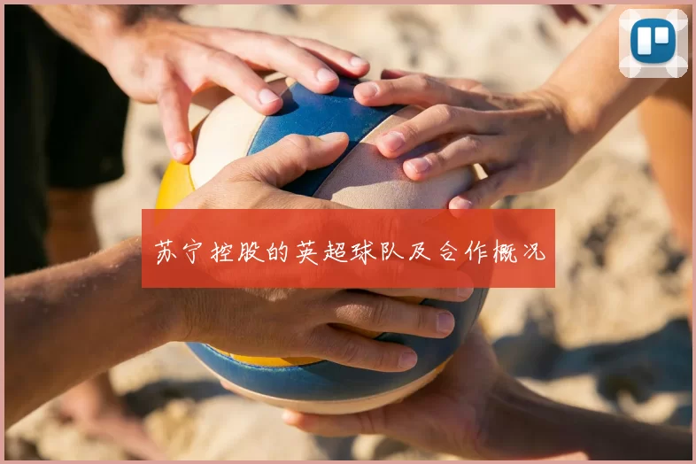 苏宁控股的英超球队及合作概况