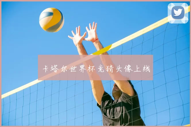 卡塔尔世界杯竞猜头像上线