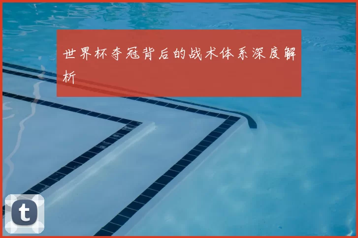 世界杯夺冠背后的战术体系深度解析